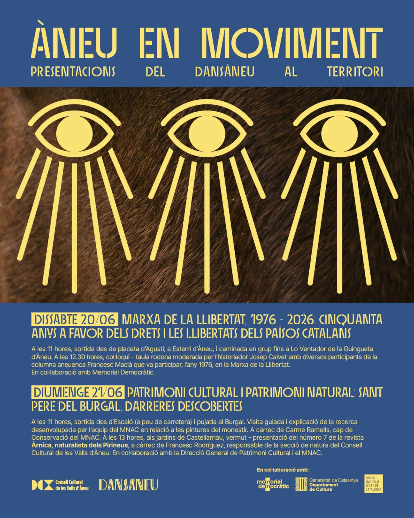 Dansàneu – Festival de Cultures del Pirineu